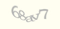 Защитный код