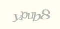 Защитный код
