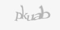 Защитный код